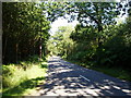 Lane across Duncton Common