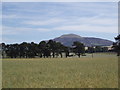 Fields near Butterwell