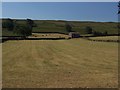 SD9489 : Brough Pasture by Chris Heaton