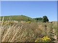 Reservoir,  Stipers Hill