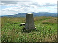 NJ6833 : Rothmaise trig point in summer by Alison Mack