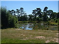 Fishing pool at Leighton