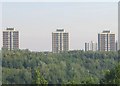 Prominent Tower Blocks In Walker