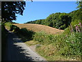 Lane beside valley of Nant Llys