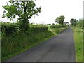 Road at Ballylaw