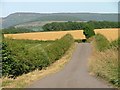 Parson Back Lane