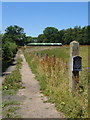 Path from Chillington Lane