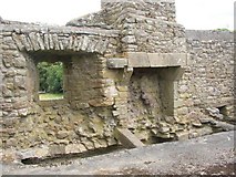 S4935 : Interior of Aghaviller ruined church, Newmarket, Co. Kilkenny by Humphrey Bolton