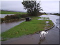 Flooded road,  Pont Trecynni