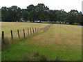 Fields between Bunkers Hill and Newbridge