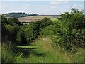 Byway with view to Roundway Hill