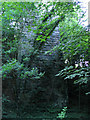 Overgrown column of disused viaduct near Ffrith