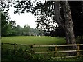 House and pasture at Netherton