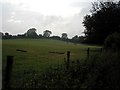 Pasture north of Netherton