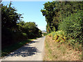 Country lane near Llanfihangel-y-Creuddyn