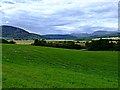 Looking down towards the River Conon