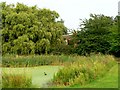 Still Life On Ellerton Pond