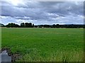 Farmland near Urray