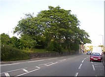 SE1228 : Carr House Road (A6036), Shelf by Humphrey Bolton
