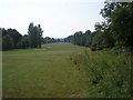 Second fairway, Lingfield Park Golf Club