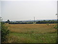 Lower Rectory Farm Fields