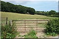 Gate to Field near Coed Baclaw