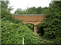 Foot Bridge crossing Tear Drop Lakes