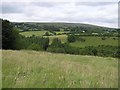 Glenlough Townland