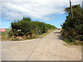 Country Lanes