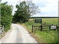 Hewisfield Forest