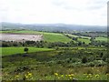 Castlewarren Townland