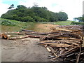 Timber yard on Green Lane, and Winnowing Close Plantation