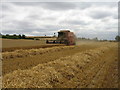 Harvesting wheat near Walton-on-Trent, South Derbyshire.