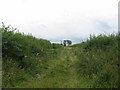 Overgrown track in square SE8180