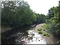 River Wharfe from Linton Bridge