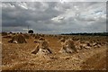 Old-fashioned harvesting