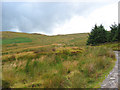 SJ0936 : View towards col in the Berwyn northern ridge by Espresso Addict