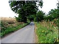 Road towards Great Pennys Farm