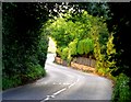 B1004 towards Dane Bridge