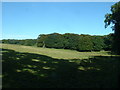 Farmland at Monreith