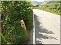 Milepost beside the B4405 near Cedris Farm