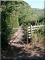 Path at Torbeg