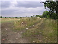 Footpath : Humbleton Farm