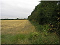 Stubble and Trees