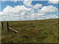 NY6054 : Fence, Cold Fell by Andrew Smith