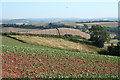 Sandford: near Beacon Cross