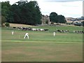 Cricket match in progress at Sandford