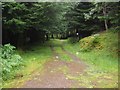 NN2185 : Track in Glenfintaig Forest by John Allan
