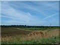 View towards New Holkham, Norfolk.