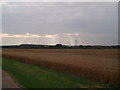 Sunset over crops